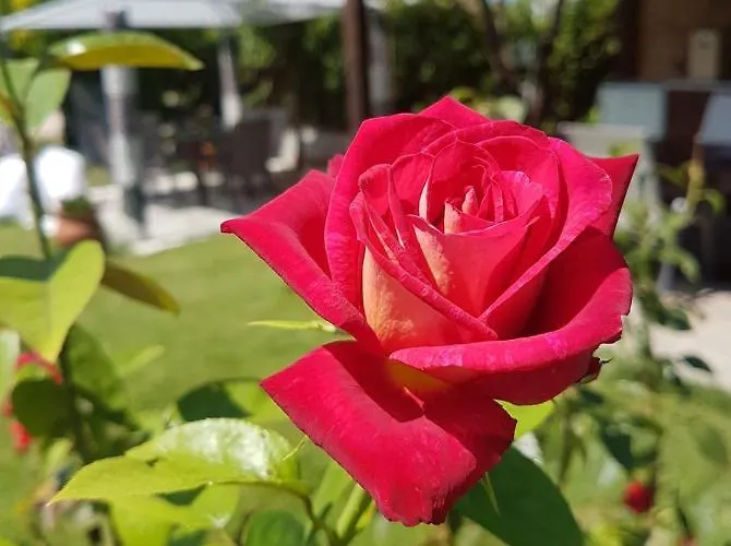 Daire Villa Valeria Thassos *